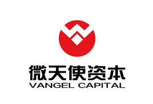 青島微天使商務(wù)信息咨詢管理企業(yè) 專業(yè)引領(lǐng)，助力企業(yè)騰飛